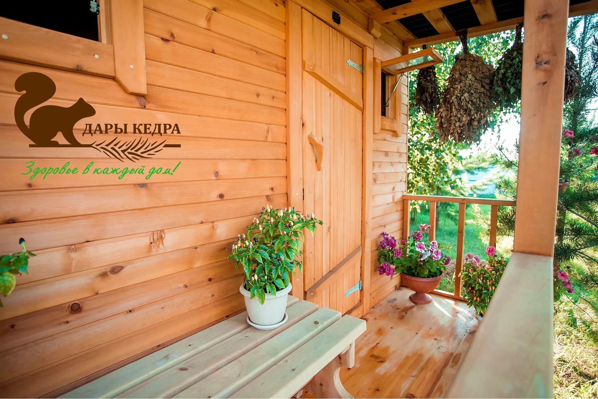 /upload/video/t19bv-zdmur.webp 0tpc4qc639prnnfddvu3vgjlskdrejy5.png